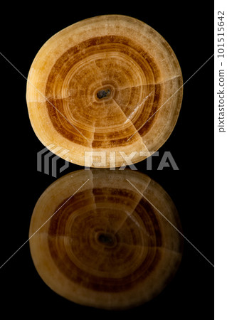 洞珠剖面圖 101515642