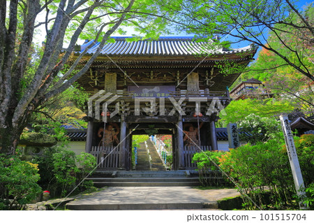 [Hiroshima Prefecture] Niomon Gate of Daisho-in Temple in sunny weather (Miyajima) 101515704