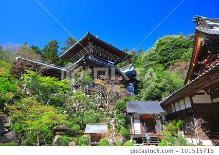 [Hiroshima Prefecture] Kannondo and Maniden of Daishoin Temple (Miyajima) 101515716