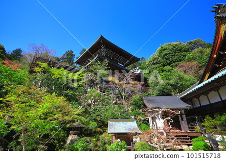 [Hiroshima Prefecture] Maniden of Daishoin Temple (Miyajima) 101515718
