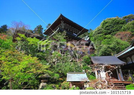 [廣島縣]大聖院真人殿（宮島） 101515719
