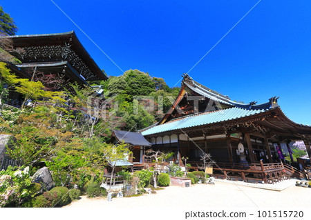 [廣島縣]大聖院的觀音堂和摩尼殿（宮島） 101515720