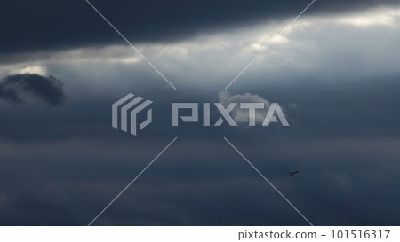 有風的傍晚被光線和雲層之間的光線照亮的雲層・春天・長焦・只有天空・230318pm 101516317