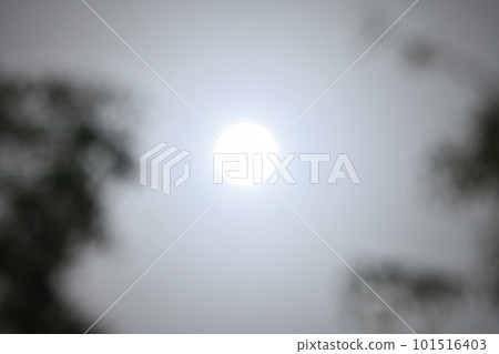 日本橫濱市景由於黃沙飛揚的影響，即使陽光明媚，太陽也朦朧... = 4月13日，櫻木町站前 101516403