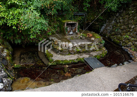 Long life water spring 101516676