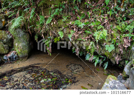 Long life water spring 101516677