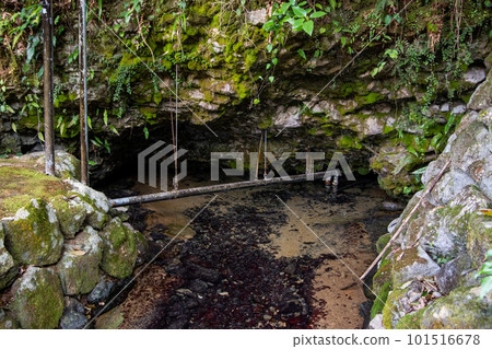 Spring mouth 101516678