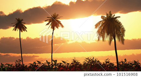 Tropical landscape at sunset 101516908