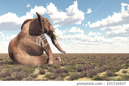 Sitting elephant in the savannah Sitting elephant in the savannah 101516937