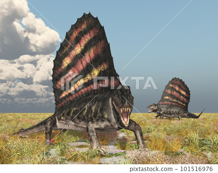 Pelycosaur Dimetrodon in a landscape 101516976