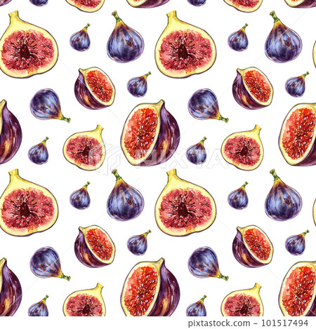 Seamless pattern raw fig fruit, slice isolated on white. Watercolor hand draw botanic illustration. Art for style design Seamless pattern raw fig fruit, slice isolated on white. Watercolor hand draw botanic illustration. Art for style design 101517494