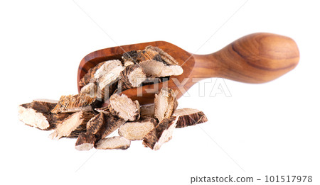 Calamus root in wooden spoon, isolated on white background. Sweet flag, sway or muskrat root. Dry root of Acorus calamus. Calamus root in wooden spoon, isolated on white background. Sweet flag, sway or muskrat root. Dry root of Acorus calamus. 101517978
