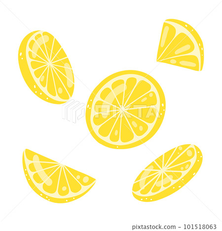Set of hand drawn lemon slices. vector illustration of cut tasty citrus, healthy food, summer fresh fruit 101518063