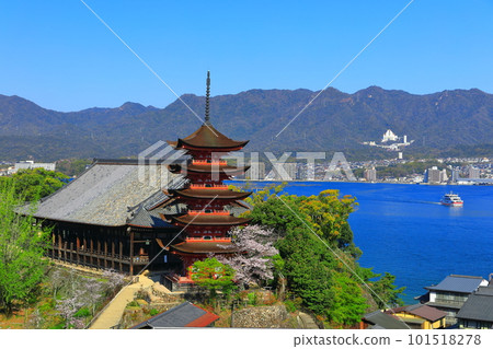 【廣島縣】櫻花盛開、嚴島神社和豐國神社的五重寶塔(宮島) 【廣島縣】櫻花盛開、嚴島神社和豐國神社的五重寶塔(宮島) 101518278