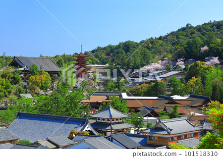 【廣島縣】櫻花盛開、嚴島神社和豐國神社的五重寶塔(宮島) 【廣島縣】櫻花盛開、嚴島神社和豐國神社的五重寶塔(宮島) 101518310