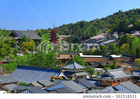【廣島縣】櫻花盛開、嚴島神社和豐國神社的五重寶塔（宮島） 101518311