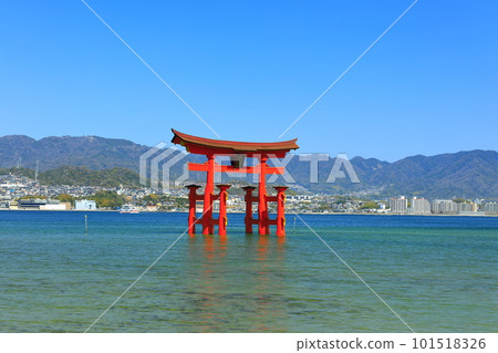 [廣島縣]修繕後的嚴島神社大鳥居（宮島） 101518326
