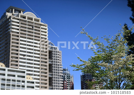 藍天和豪宅 101518583