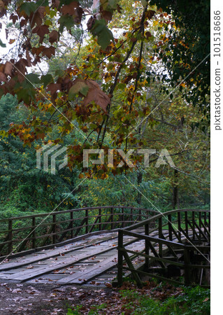 Wooden bridge across the river in the autumn park Wooden bridge across the river in the autumn park 101518686