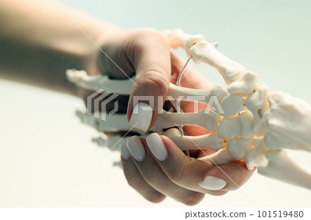 Woman shakes hands with skeleton model on beige background Woman shakes hands with skeleton model on beige background 101519480