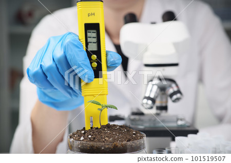 Female scientist examines soil in container with cannabis Female scientist examines soil in container with cannabis 101519507