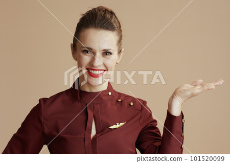 smiling female air hostess presenting something smiling female air hostess presenting something 101520099