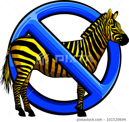 African zebra. Animal design. Vector illustration isolated on white background African zebra. Animal design. Vector illustration isolated on white background 101520694