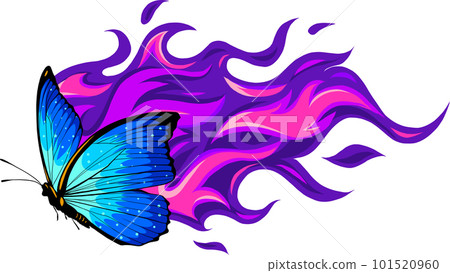 morpho butterfly on white background. Vector illustration. morpho butterfly on white background. Vector illustration. 101520960