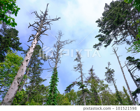 禮文山風景 101521598