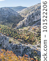 Zuheros, white village of the province of Cordoba in Spain 101522206