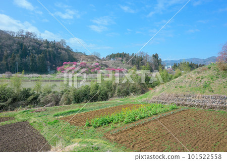 Roku Umezono在對岸[長野市信州新町] 101522558