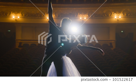 Pair of classical ballet dancers on rehearsal 101522617