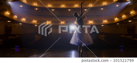 Ballet female dancer practices on theater stage 101522799