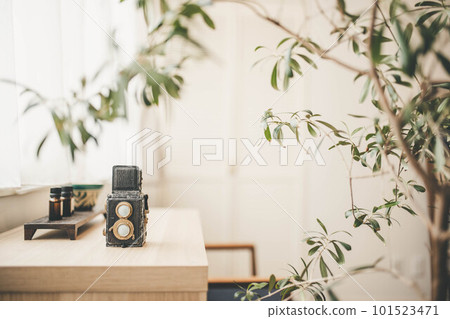 Retro camera accessories placed on the windowsill 101523471