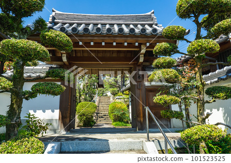 大阪島本町臨濟宗大德寺宗寶乘庵門 101523525