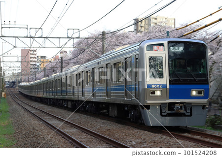 [SS] Seibu Shinjuku Line 6000 Series (Express: Seibu Shinjuku ⇔ Honkawagoe) 101524208