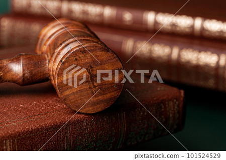 Close up of a brown wooden gavel and book 101524529