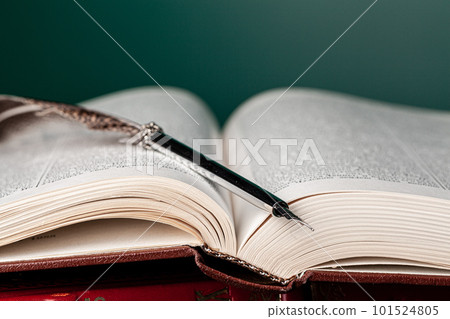 Close up of a fountain pen on a book 101524805