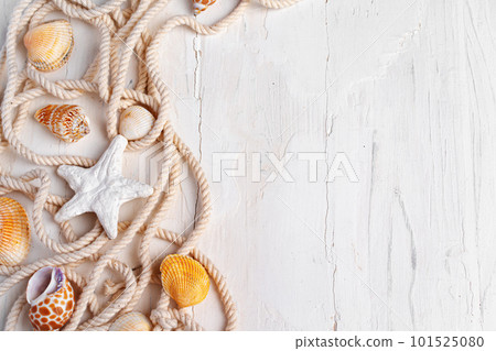 Sea shells with rope on white wooden background, copy space. Vacation concept Sea shells with rope on white wooden background, copy space. Vacation concept 101525080