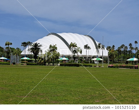 熱帶宮崎職業棒球訓練營 101525110