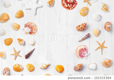 White wooden background with sea shells, copy space White wooden background with sea shells, copy space 101525364