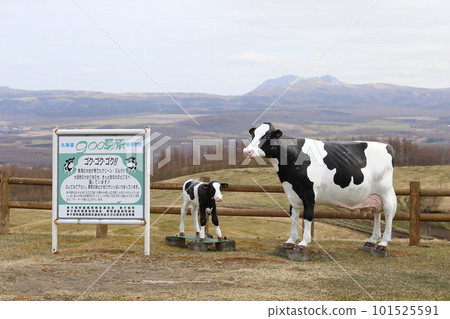 北海道弟子屈 900 草元展望台 101525591