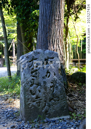 Kumano Kodo · Nakanobe Kumano Kodo · Nakanobe 101527434