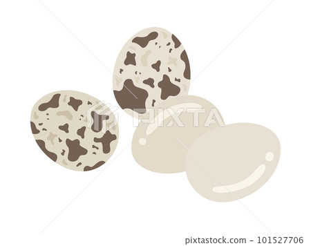 鵪鶉蛋圖 101527706