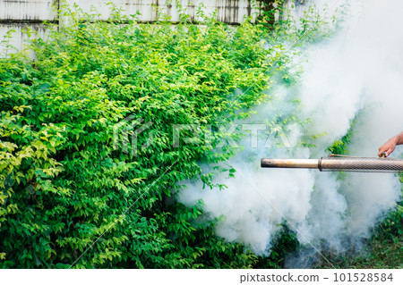 Fogging DDT spray mosquito kill for virus protect Fogging DDT spray mosquito kill for virus protect 101528584