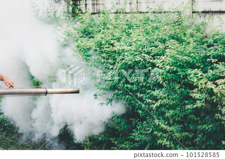 Fogging DDT spray mosquito kill for virus protect 101528585