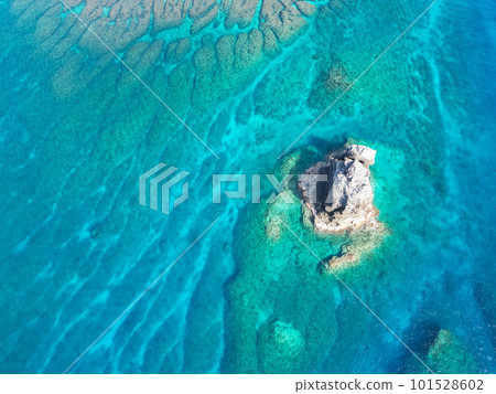 Okinawa's beautiful sea A large amount of transparent coral reefs floating in the sea of coral reefs 101528602