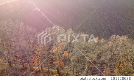 Plowed field and trees without leaves lit sunlight on sunny autumn spring day. Chernozem black earth field. Flying over agricultural field. Aerial view. Red sun glare. Tilled land field. Dug up earth. Plowed field and trees without leaves lit sunlight on sunny autumn spring day. Chernozem black earth field. Flying over agricultural field. Aerial view. Red sun glare. Tilled land field. Dug up earth. 101528628