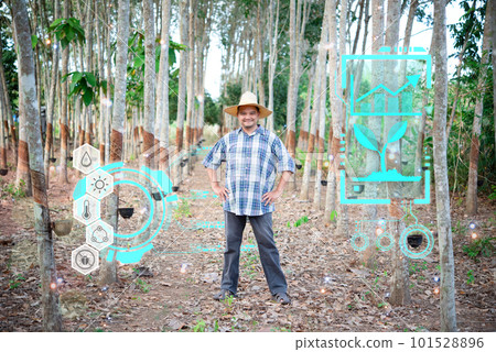 Smart Farm, Agriculturist rubber tree plantation Smart Farm, Agriculturist rubber tree plantation 101528896