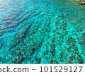 沖繩美麗的海 大量透明的珊瑚礁漂浮在珊瑚礁海中 101529127